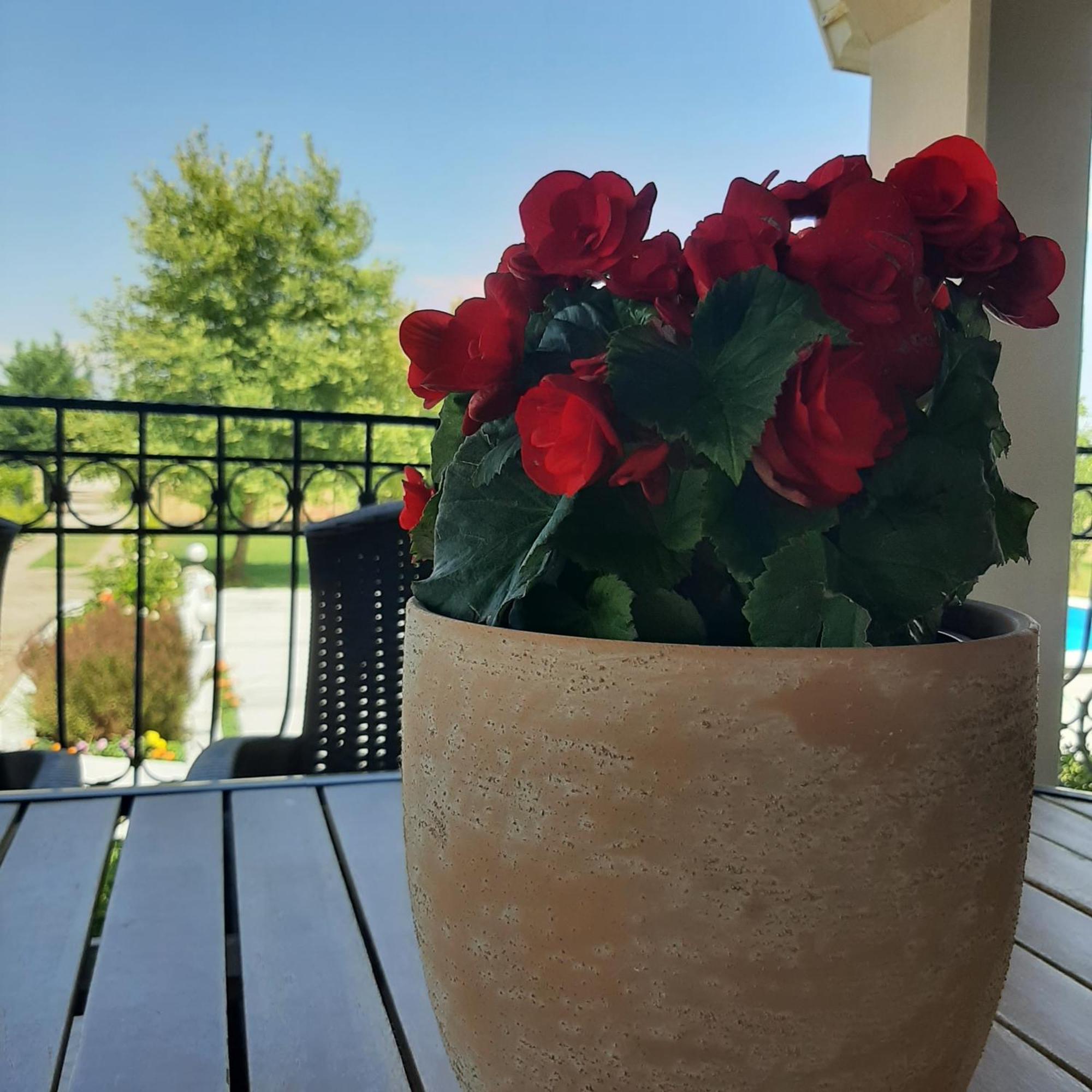 Αρχοντικό Παπανικολάου Villa Ligaria  ภายนอก รูปภาพ