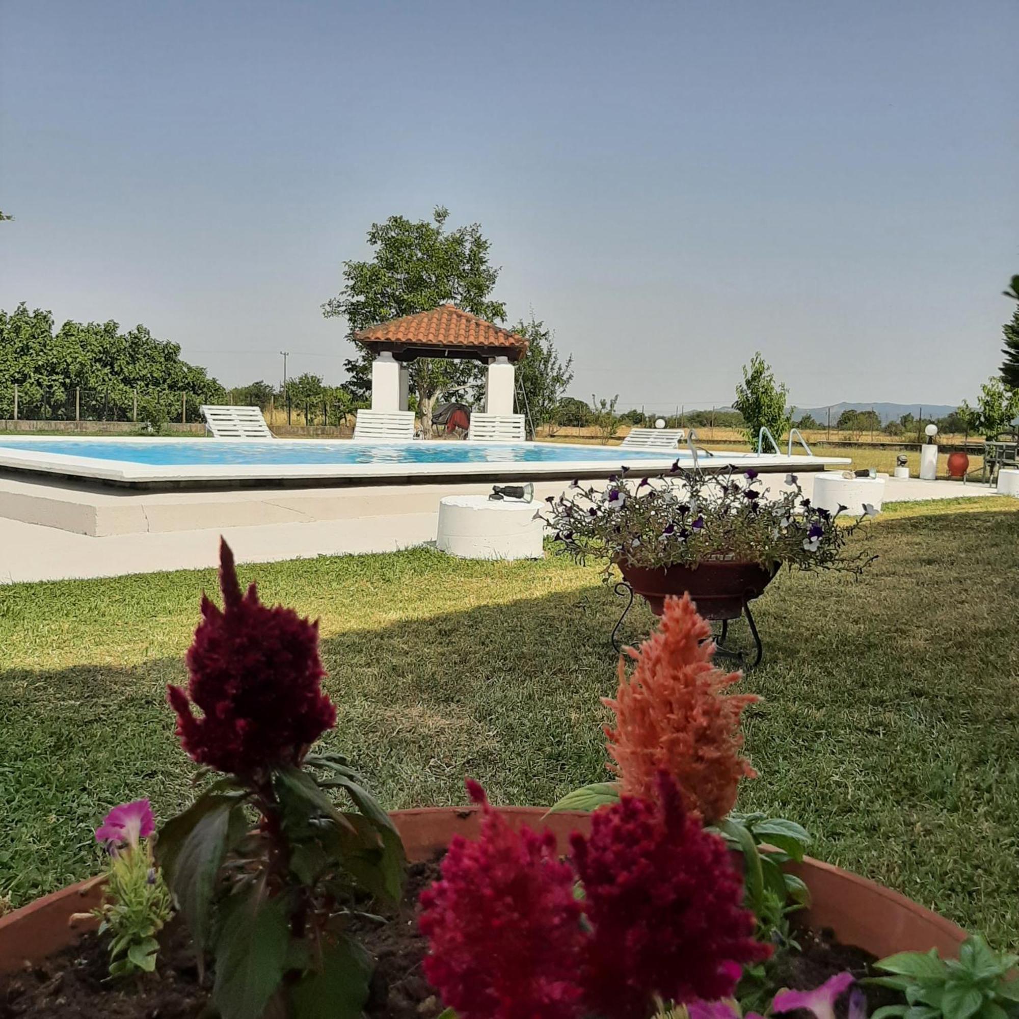 Αρχοντικό Παπανικολάου Villa Ligaria  ภายนอก รูปภาพ